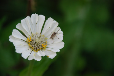 Similar image 22578040