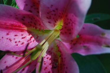 Similar image 22578042