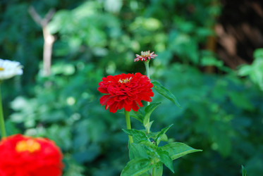 Similar image 22578043