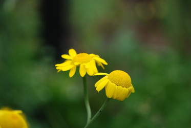 Similar image 22578044