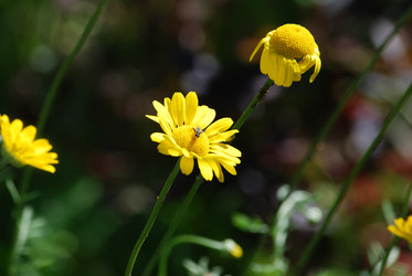 Similar image 22578045