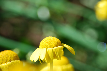 Similar image 22578046