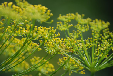 Similar image 22578047