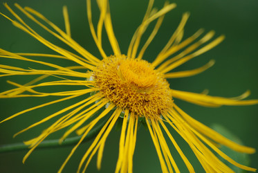 Similar image 22578048