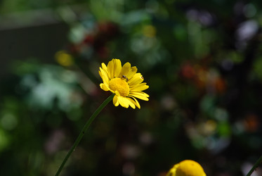 Similar image 22578049