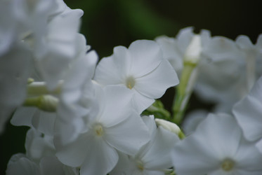 Similar image 22578050