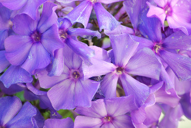 Similar image 22578051