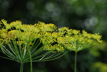 Similar image 22578052