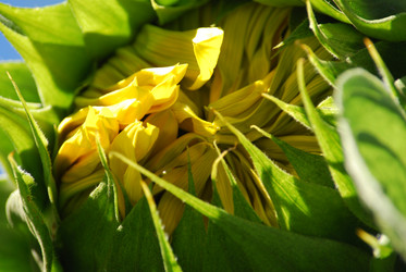 Similar image 22578053