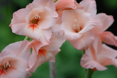 Similar image 22578054