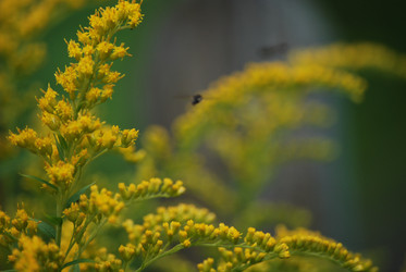 Similar image 22578055