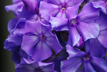 Similar image 22578056