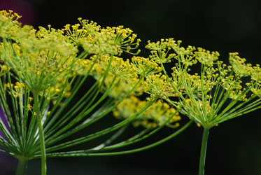 Similar image 22578057