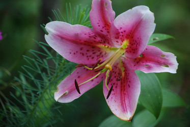 Similar image 22578058