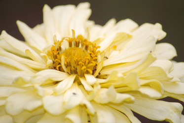 Similar image 22578059