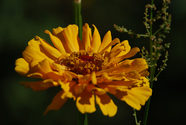 Similar image 22578060