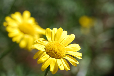 Similar image 22578061