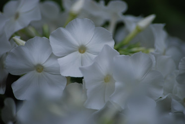 Similar image 22578063