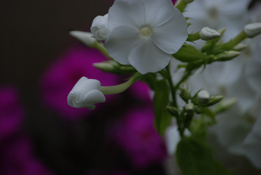 Similar image 22578064