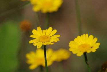 Similar image 22578065