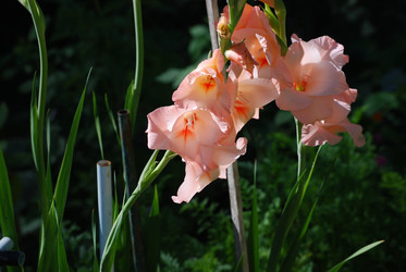 Similar image 22578066