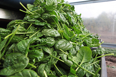 Similar image 22590413