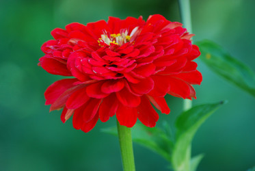 Similar image 22578067