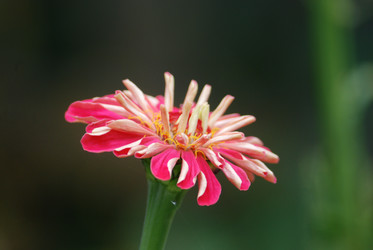 Similar image 22578068