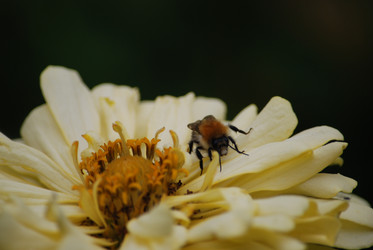 Similar image 22578070