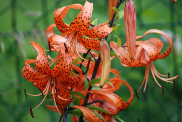 Similar image 22578071