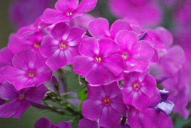 Similar image 22578072