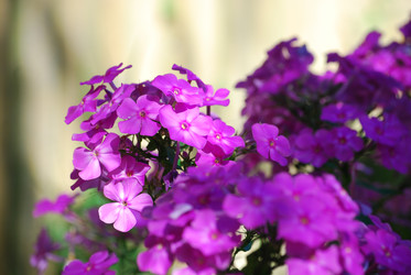 Similar image 22578075