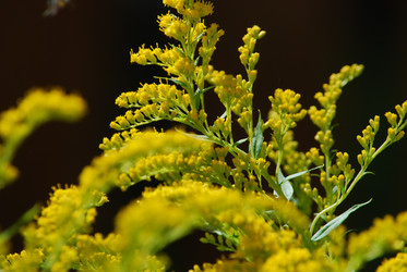 Similar image 22578076