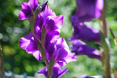 Similar image 22578077