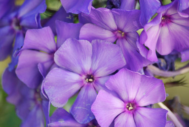 Similar image 22578078