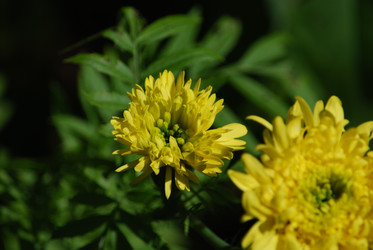 Similar image 22578079