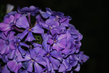 Similar image 22578080