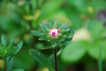 Similar image 22578081