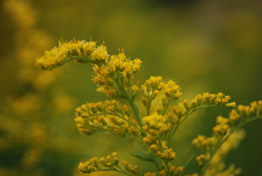 Similar image 22578082