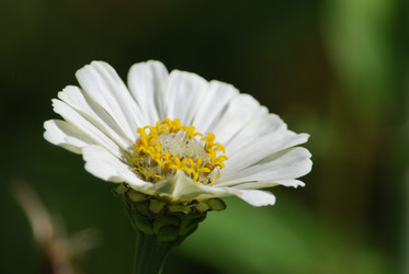 Similar image 22578083