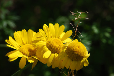 Similar image 22578084