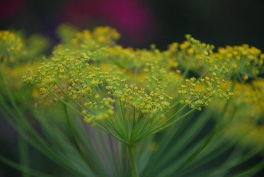 Similar image 22578085