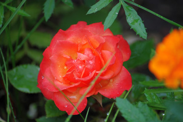 Similar image 22578089