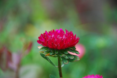 Similar image 22578090