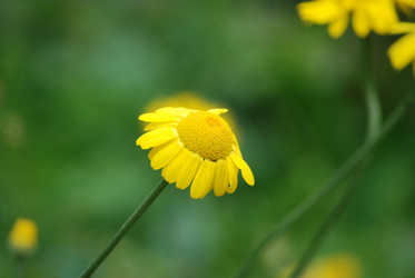 Similar image 22578091