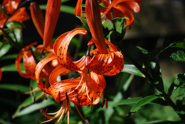 Similar image 22578094