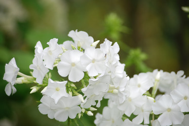 Similar image 22578095