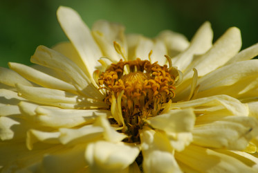 Similar image 22578096