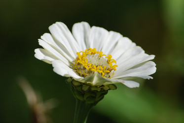 Similar image 22578098