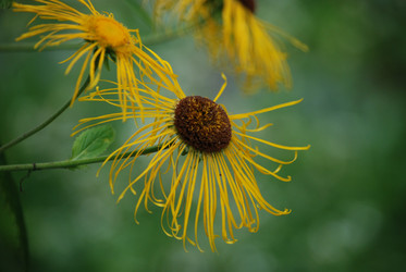 Similar image 22578100